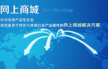 武漢網(wǎng)站建設:開發(fā)電商系統(tǒng)前期要注意什么?